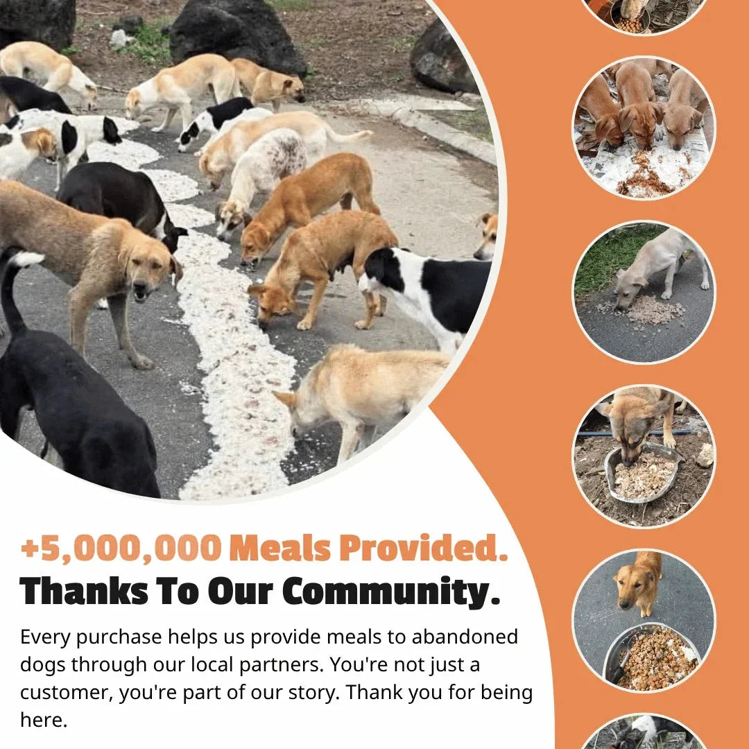 Purel Tile Bracelet
