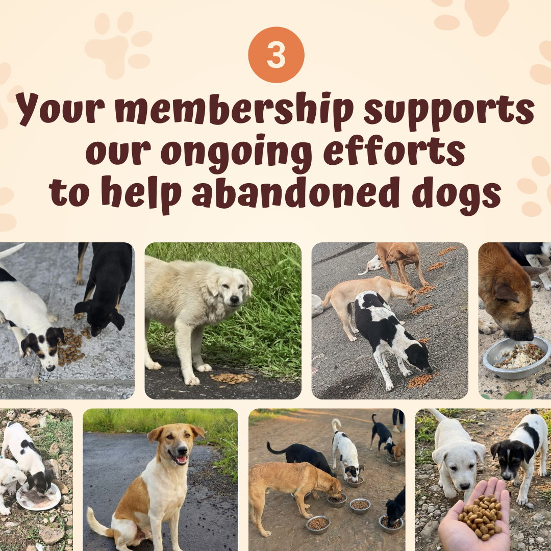 The Monthly Pets Club