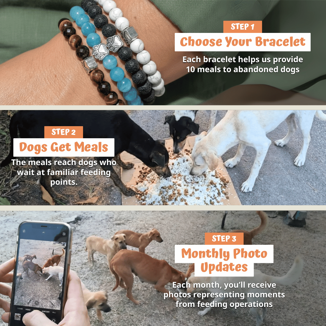 Bracelet Set (Pearl + Brume + Sunrise)